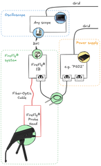 FireFly® optically isolated probe